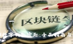 如何找回数字钱包密匙:全面指南与解决方案
