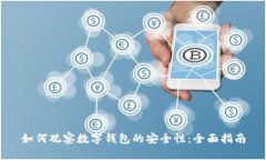 如何观察数字钱包的安全性:全面指南
