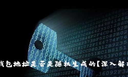 区块链钱包地址是否是随机生成的?深入解析与应用