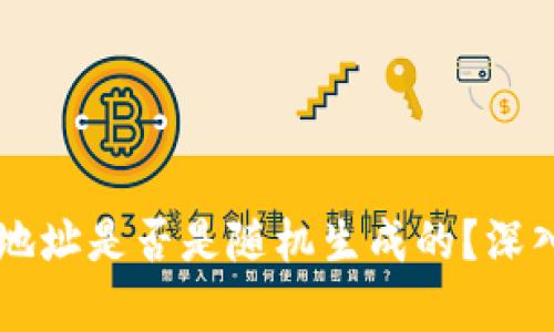 区块链钱包地址是否是随机生成的?深入解析与应用