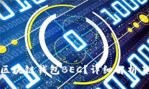 什么是美图区块链钱包BEC?详细解析其功能与优势