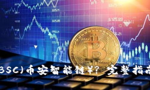 IM钱包如何添加BSC(币安智能链)? 完整指南与常见问题解答