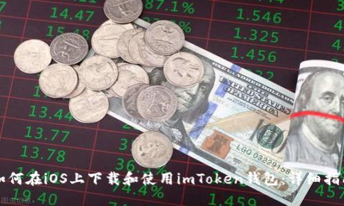 如何在iOS上下载和使用imToken钱包:详细指南
