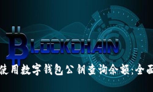 如何使用数字钱包公钥查询余额:全面指南