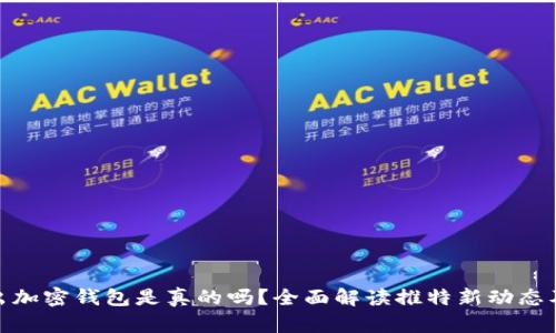 推特推出加密钱包是真的吗?全面解读推特新动态及其影响