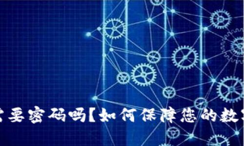数字钱包需要密码吗?如何保障您的数字资产安全