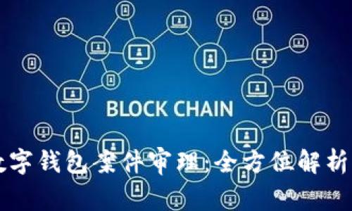 南安数字钱包案件审理:全方位解析与解读