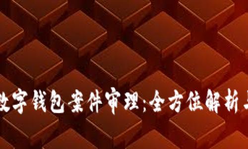 南安数字钱包案件审理:全方位解析与解读