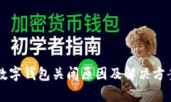 工商数字钱包关闭原因及解决方案分析