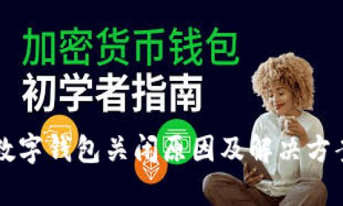 工商数字钱包关闭原因及解决方案分析