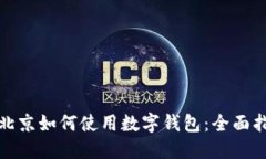 在北京如何使用数字钱包:全面指南
