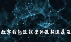 海南数字钱包洗钱案件最新进展及分析