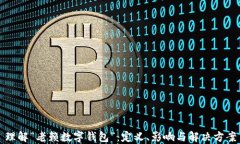 理解“老赖数字钱包”:定义、影响与解决方案