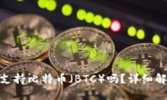 imToken钱包支持比特币(BTC)吗?详细解读与使用