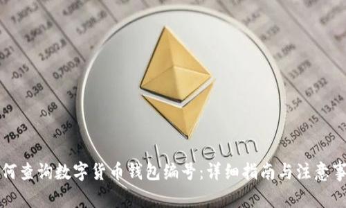 如何查询数字货币钱包编号:详细指南与注意事项