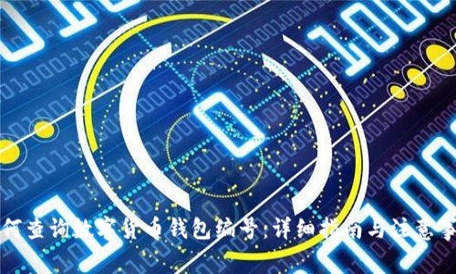 如何查询数字货币钱包编号:详细指南与注意事项