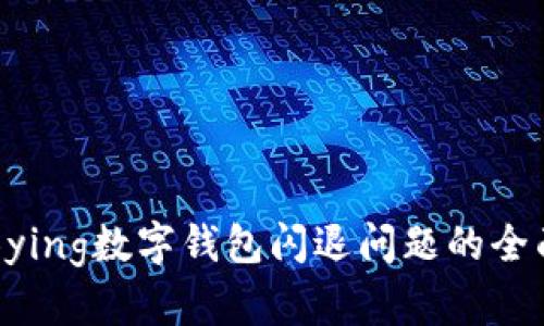 解决Bying数字钱包闪退问题的全面指南