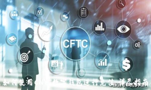 如何使用CNYT数字钱包进行充值:详尽指南