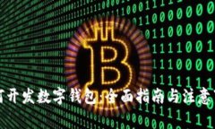 如何开发数字钱包:全面指南与注意事项