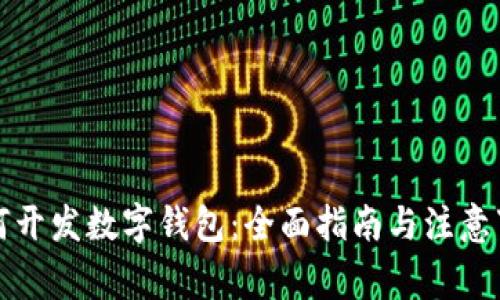 如何开发数字钱包:全面指南与注意事项