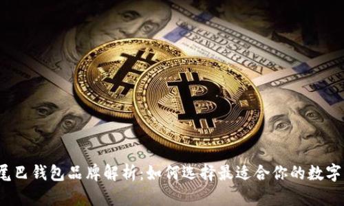 数字尾巴钱包品牌解析:如何选择最适合你的数字钱包?