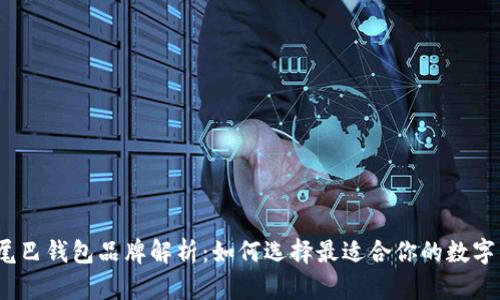 数字尾巴钱包品牌解析:如何选择最适合你的数字钱包?