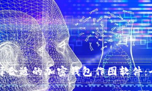 如何选择合适的加密钱包作图软件:全面指南