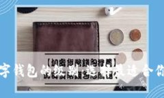 全面解析数字钱包的级别:选择最适合你的数字