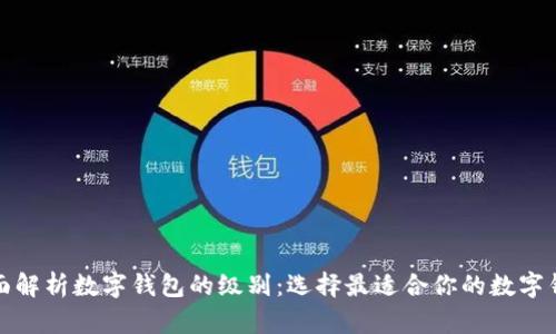 全面解析数字钱包的级别:选择最适合你的数字钱包