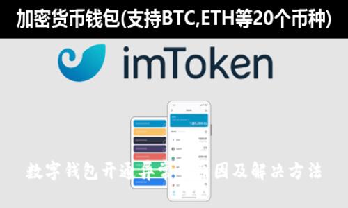 数字钱包开通异常的原因及解决方法