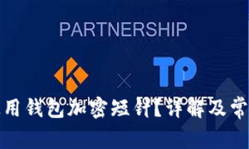 如何正确使用钱包加密短针?详解及常见问题解答