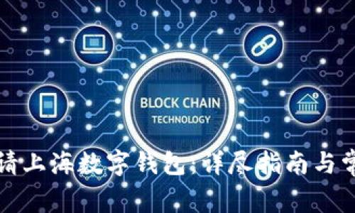 如何顺利申请上海数字钱包：详尽指南与常见问题解答