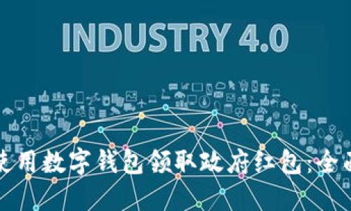 如何使用数字钱包领取政府红包:全面指南
