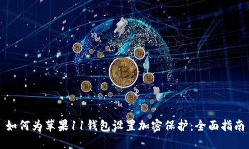 如何为苹果11钱包设置加密保护:全面指南
