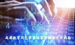成都数字钱包限额政策详解及使用指南