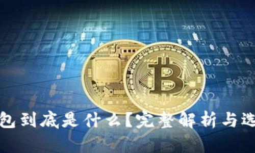 数字钱包到底是什么?完整解析与选购指南