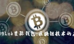 深度解析SBLok星际钱包:区块链技术的未来与应用