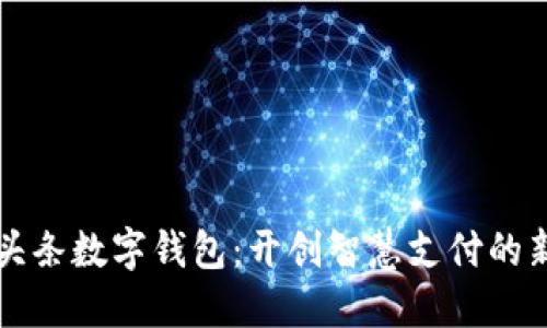 今日头条数字钱包:开创智慧支付的新纪元