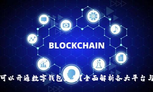 哪里可以开通数字钱包支付?全面解析各大平台与应用