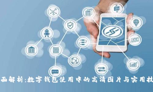 全面解析:数字钱包使用中的高清图片与实用技巧