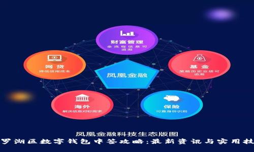 : 罗湖区数字钱包中签攻略：最新资讯与实用技巧