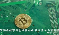 : 罗湖区数字钱包中签攻略：最新资讯与实用技巧