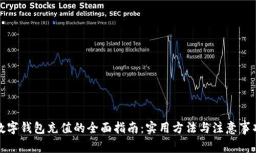 数字钱包充值的全面指南:实用方法与注意事项