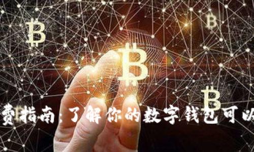 数字钱包消费指南:了解你的数字钱包可以在哪里使用