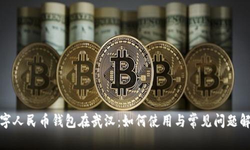 数字人民币钱包在武汉:如何使用与常见问题解答