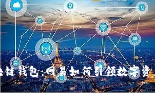 全面解析区块链钱包:网易如何引领数字资产管理新时代