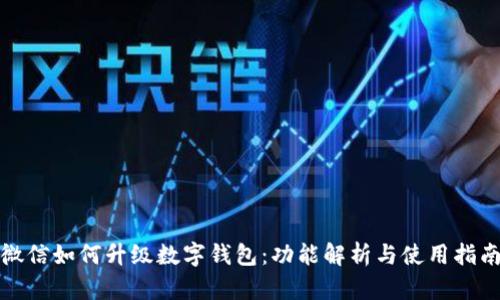 微信如何升级数字钱包：功能解析与使用指南
