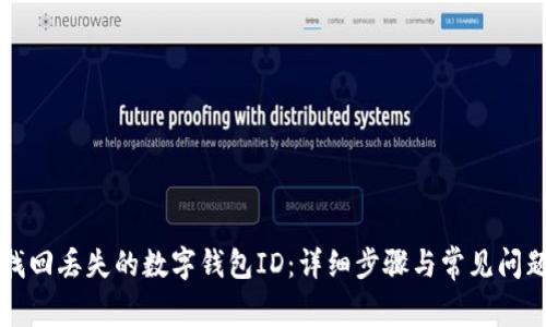 如何找回丢失的数字钱包ID:详细步骤与常见问题解析