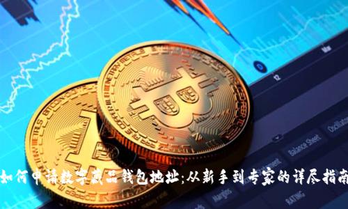 如何申请数字藏品钱包地址:从新手到专家的详尽指南
