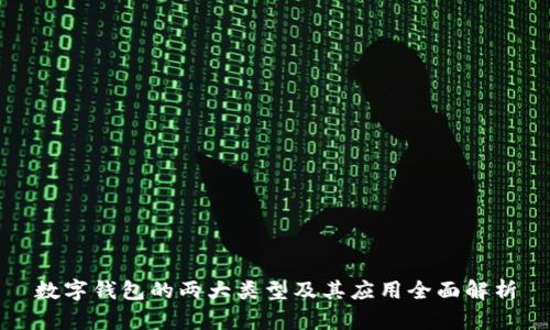 数字钱包的两大类型及其应用全面解析